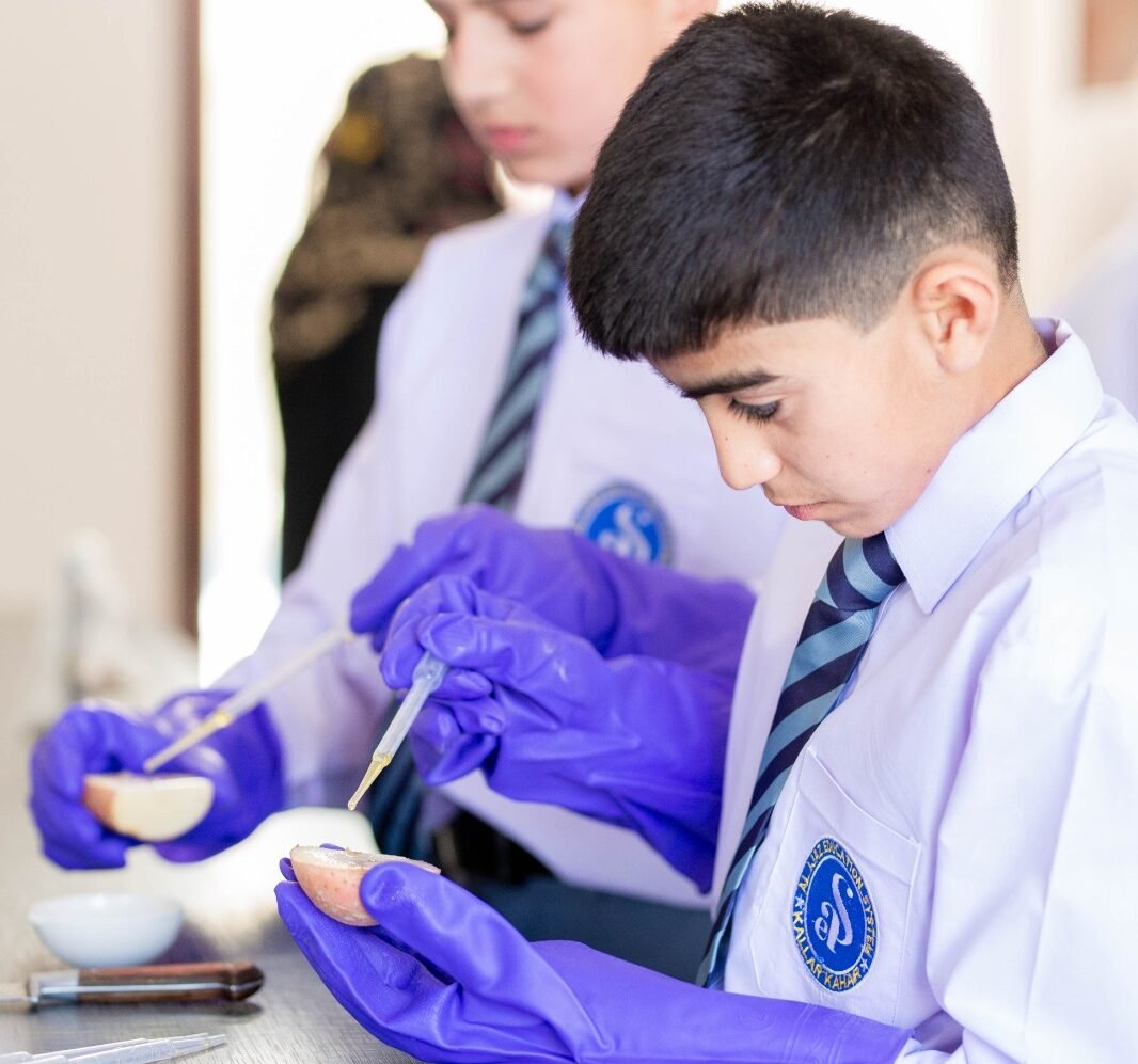 Quality Education - al ijaz foundation (9)